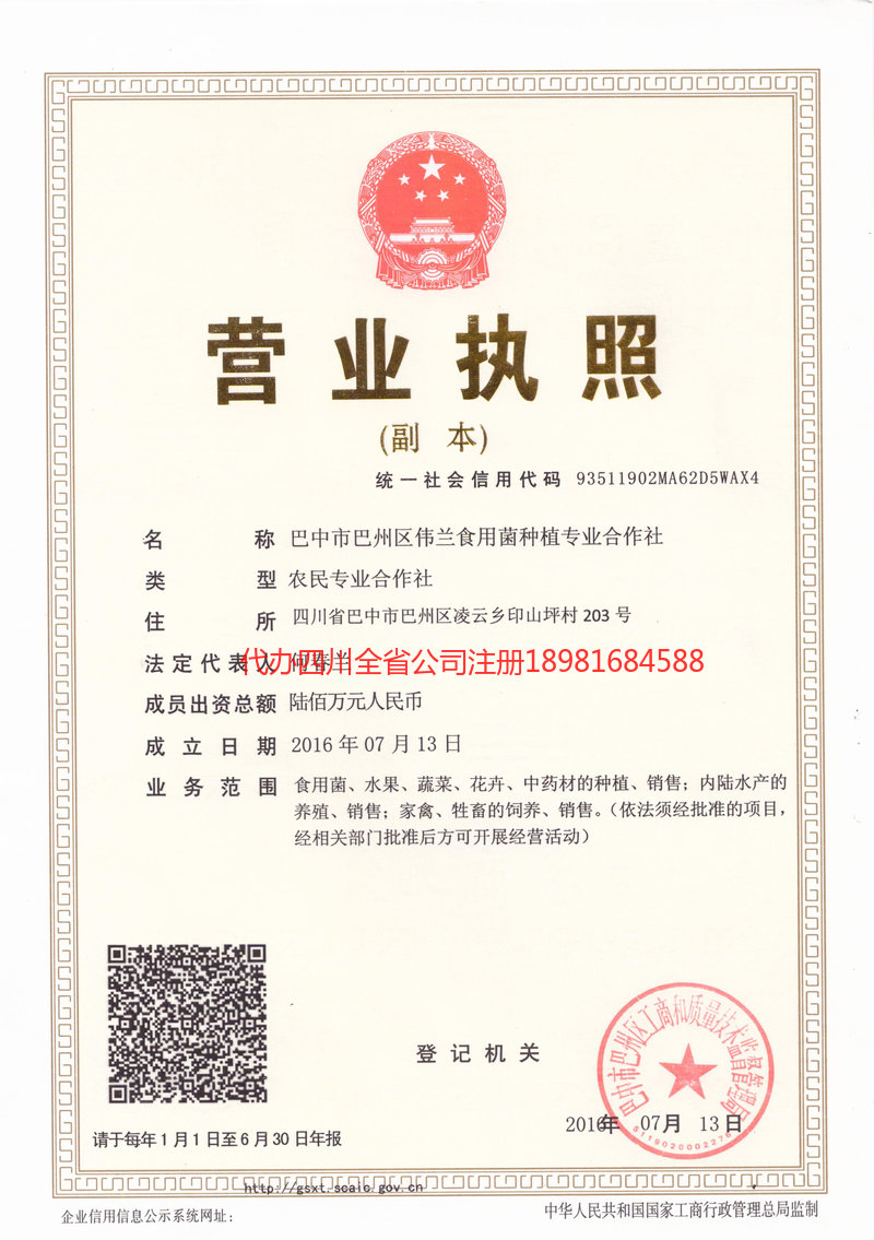 新泰新泰伟兰食用菌种植专业合作社