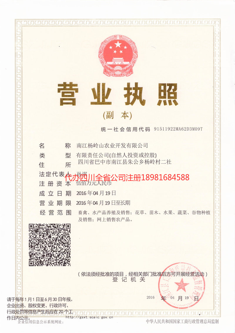 新泰新泰杨岭山农业开发有限公司